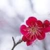 lindazhang344